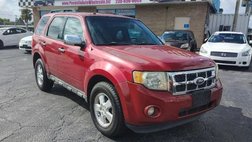 2010 Ford Escape XLT