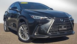 2025 Lexus NX 350 Premium