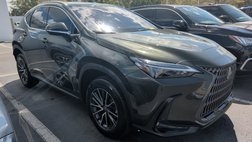 2023 Lexus NX 250 Base
