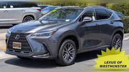 2024 Lexus NX 250 Premium