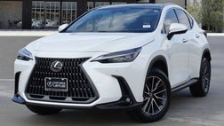 2024 Lexus NX 350h Luxury