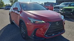 2024 Lexus NX 250 Premium