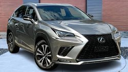 2018 Lexus NX 300 F SPORT