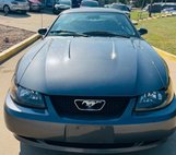 2004 Ford Mustang Base