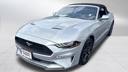 2019 Ford Mustang EcoBoost