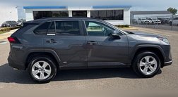 2019 Toyota RAV4 Hybrid XLE
