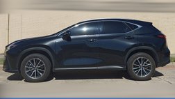 2024 Lexus NX 350h Luxury