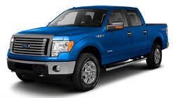 2010 Ford F-150 XL