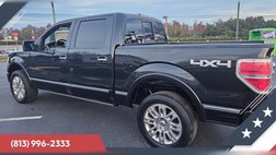 2010 Ford F-150 Platinum