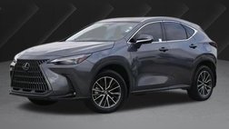 2025 Lexus NX 350h Luxury