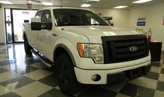 2010 Ford F-150 FX4