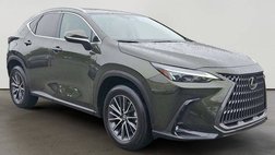 2025 Lexus NX 250 Base