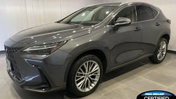 2024 Lexus NX 350 Luxury