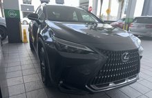 2025 Lexus NX 350h Premium