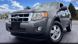 2010 Ford Escape XLT