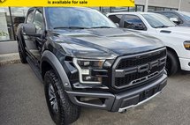 2017 Ford F-150 Raptor