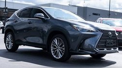 2025 Lexus NX 350h Premium