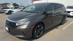 2023 Honda Odyssey Elite