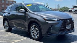 2023 Lexus NX 350 Luxury
