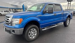 2009 Ford F-150 XL