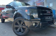 2013 Ford F-150 FX4