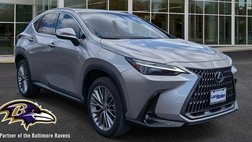 2022 Lexus NX 350 Luxury