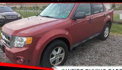 2011 Ford Escape XLT
