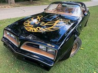 1978 Pontiac Firebird TRANS AM SPECIAL EDITION