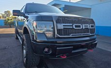 2013 Ford F-150 FX4
