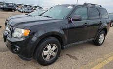 2011 Ford Escape XLT