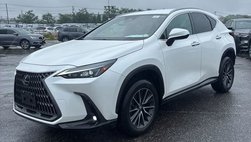 2024 Lexus NX 350 Base