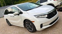 2024 Honda Odyssey Elite