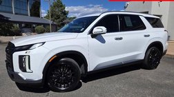 2023 Hyundai Palisade SEL