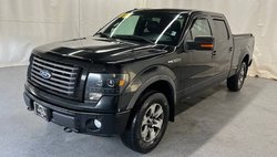 2011 Ford F-150 FX4