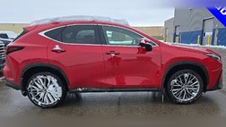 2025 Lexus NX 350h Luxury