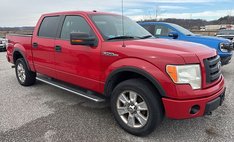 2010 Ford F-150 FX4