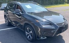 2018 Lexus NX 300 F SPORT