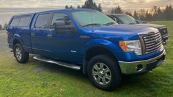 2011 Ford F-150 XLT
