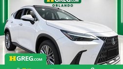 2024 Lexus NX 350h Luxury