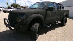 2010 Ford F-150 XL