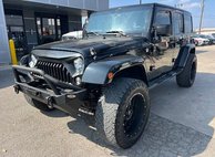 2014 Jeep Wrangler Unlimited Dragon