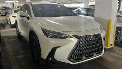 2024 Lexus NX 350h Premium