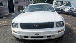 2005 Ford Mustang V6 Deluxe