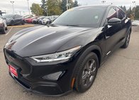 2022 Ford Mustang Mach-E Select