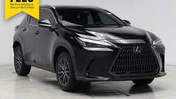 2023 Lexus NX 250 Base