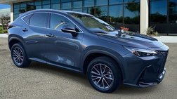 2025 Lexus NX 250 Premium
