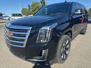 2019 Cadillac Escalade ESV Platinum