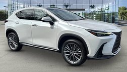 2022 Lexus NX 350h Luxury