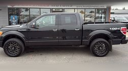 2010 Ford F-150 Platinum