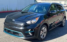 2019 Kia Niro EV EX